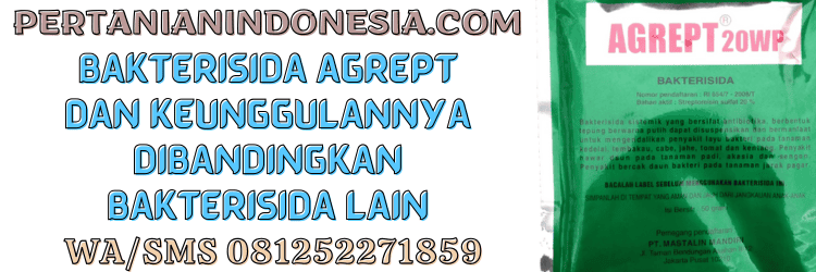 bakterisida,agrept,agrept 20 wp,mastalin mandiri,pertanian indonesia